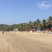 фото из отзыва ID 1911692