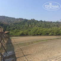 фото из отзыва ID 1911692