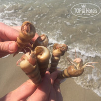 фото из отзыва ID 1911692