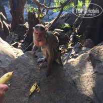 фото из отзыва ID 1911692