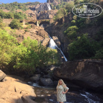 фото из отзыва ID 1911692