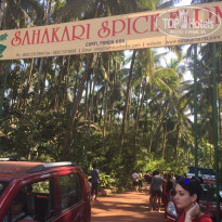 фото из отзыва ID 1911692