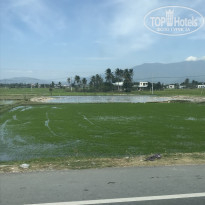 фото из отзыва ID 1911536