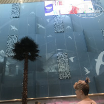 фото из отзыва ID 1911536