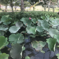 фото из отзыва ID 1911536