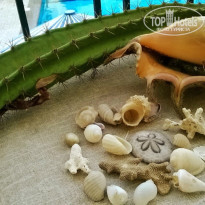 фото из отзыва ID 1911765