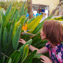 фото из отзыва ID 1911765