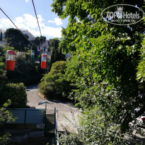 фото из отзыва ID 1911768