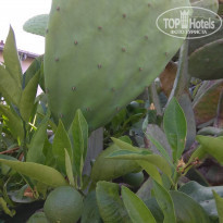 фото из отзыва ID 1911788