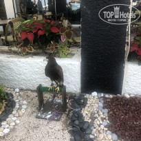 фото из отзыва ID 1911792