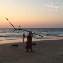 фото из отзыва ID 1911960