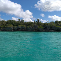 фото из отзыва ID 1911956