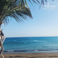 фото из отзыва ID 1911990