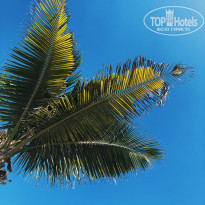 фото из отзыва ID 1911990