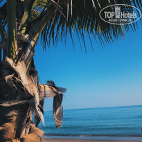 фото из отзыва ID 1911990