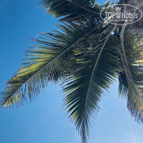 фото из отзыва ID 1911990