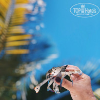 фото из отзыва ID 1911990