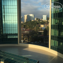 фото из отзыва ID 1911995