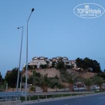 фото из отзыва ID 1911788