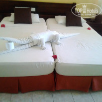 фото из отзыва ID 1912058