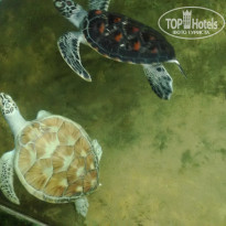 фото из отзыва ID 1912058