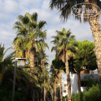 фото из отзыва ID 1912105