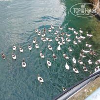 фото из отзыва ID 1912106