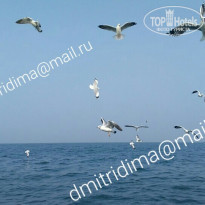 фото из отзыва ID 1912150
