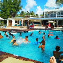 фото из отзыва ID 1912261