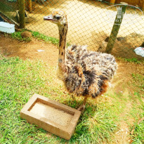 фото из отзыва ID 1912261