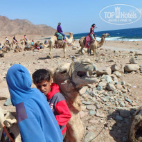 фото из отзыва ID 1911018