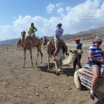 фото из отзыва ID 1911018