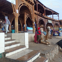 фото из отзыва ID 1911018