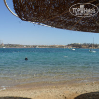 фото из отзыва ID 1912428