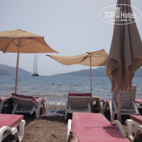 фото из отзыва ID 1912477