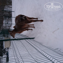 фото из отзыва ID 1912563