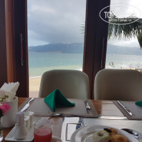 фото из отзыва ID 1912652