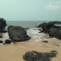 фото из отзыва ID 1912664