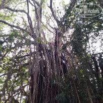 фото из отзыва ID 1912664