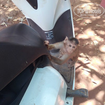 фото из отзыва ID 1912664