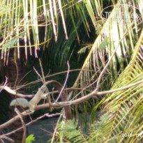 фото из отзыва ID 1912973