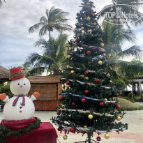 фото из отзыва ID 1912146