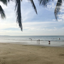 фото из отзыва ID 1912146