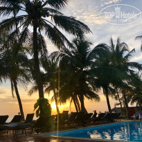 фото из отзыва ID 1912146