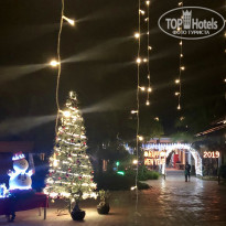 фото из отзыва ID 1912146