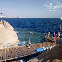 фото из отзыва ID 1913042