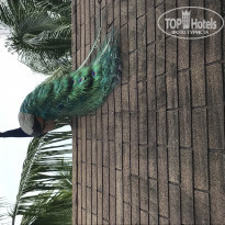 фото из отзыва ID 1913081