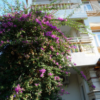 фото из отзыва ID 1913088