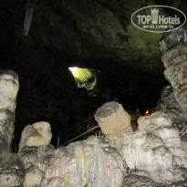 фото из отзыва ID 1913060