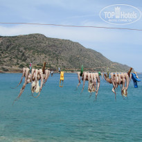 фото из отзыва ID 1913060